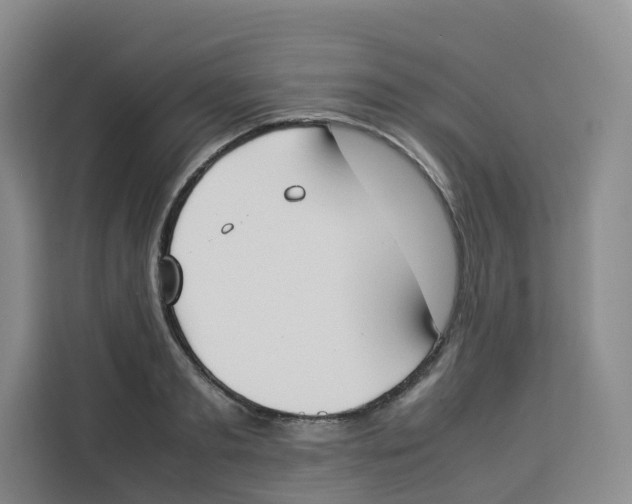 X0000113910893200910221331