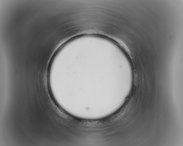 X0000113910895200910221331