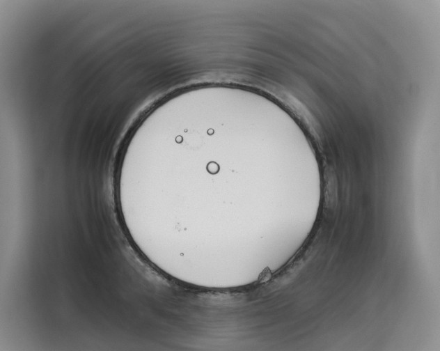 X0000113910896200910221331