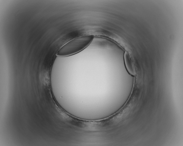 X0000113910897200910221331