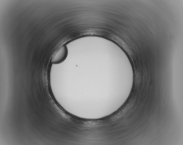 X0000113910898200910221331