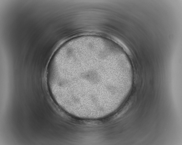 X0000113910899200910221331