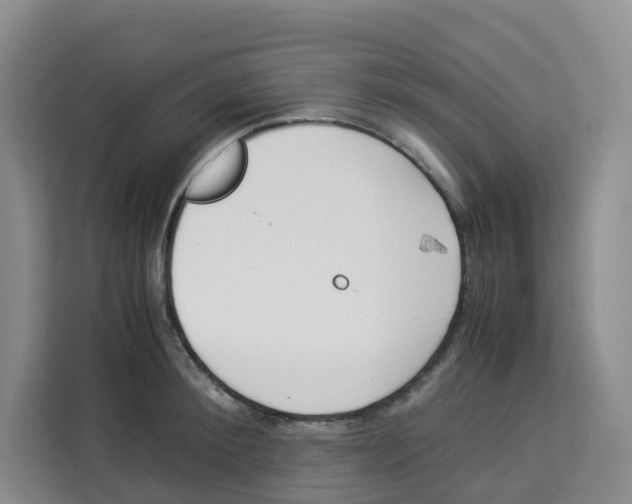 X0000113910900200910221331