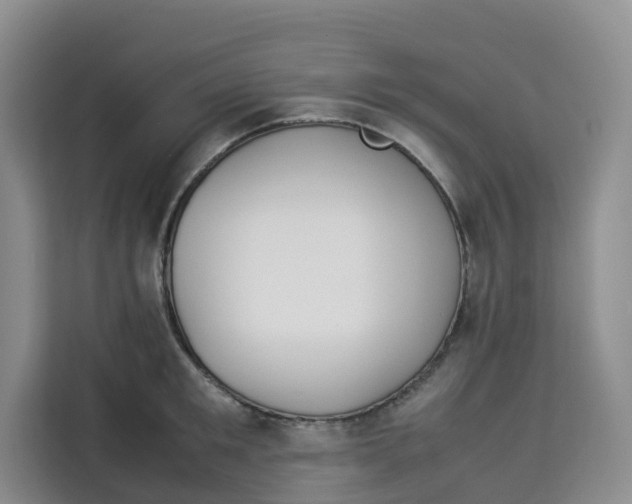 X0000113910901200910221331