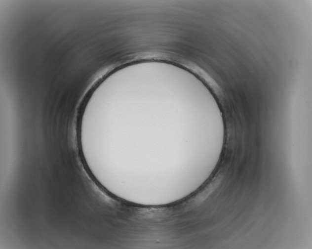 X0000113910902200910221331