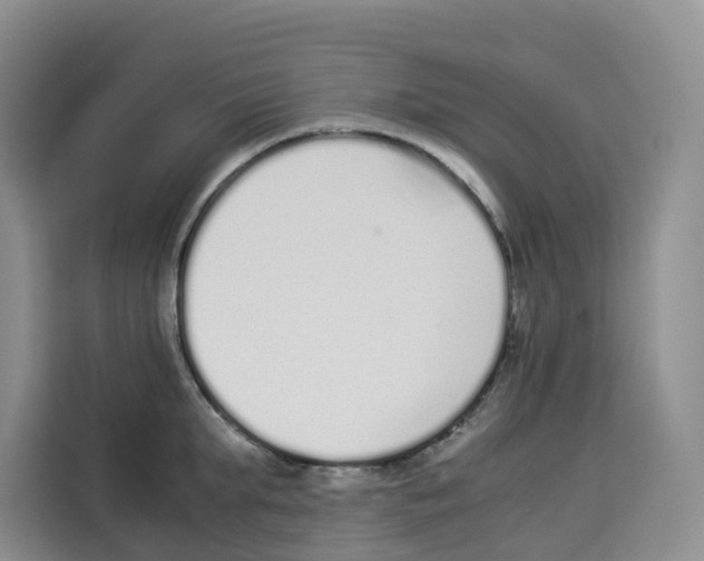 X0000113910903200910221331