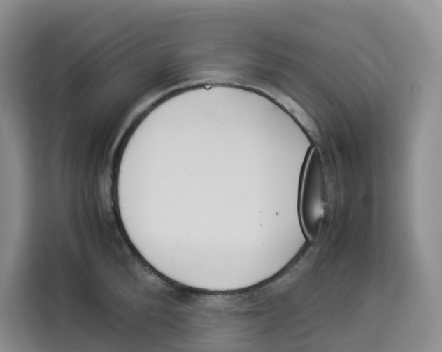 X0000113910904200910221331
