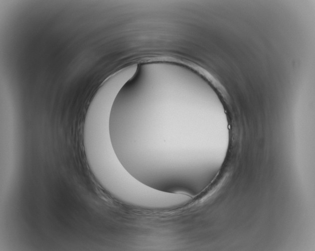 X0000113910905200910221331