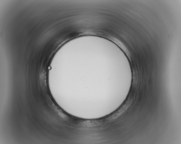 X0000113910906200910221331
