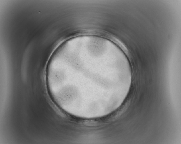 X0000113910907200910221331