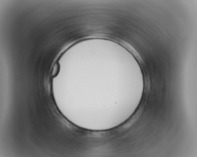 X0000113910908200910221331