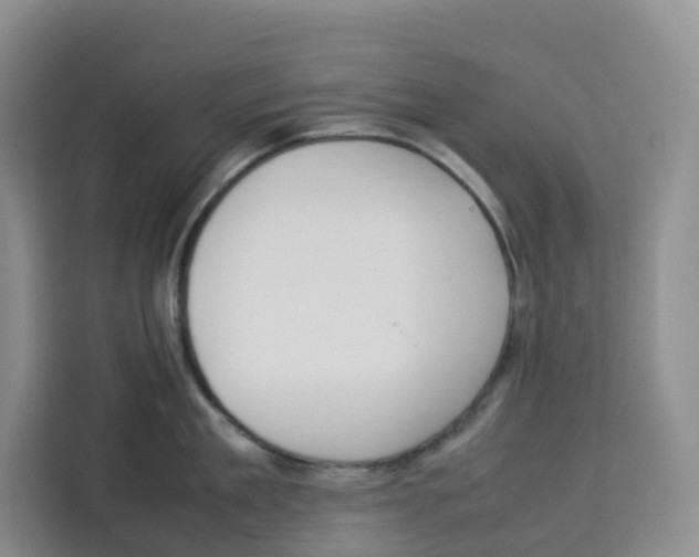 X0000113910909200910221331