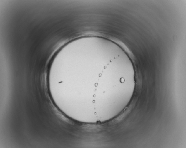 X0000113910910200910221331
