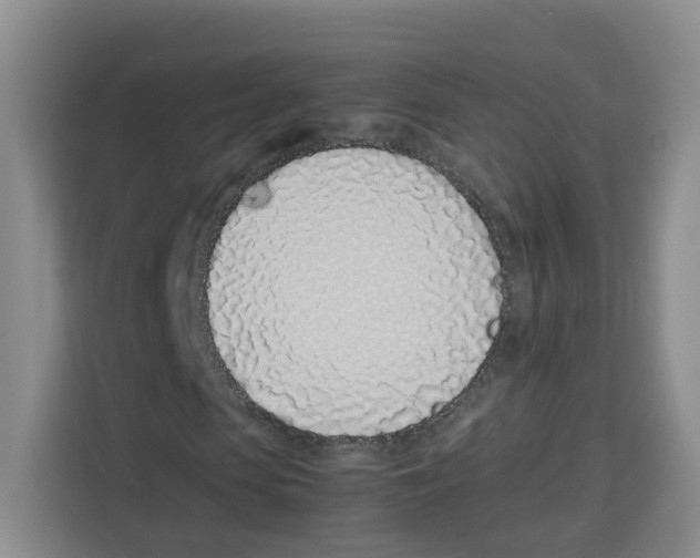 X0000113910913200910221330