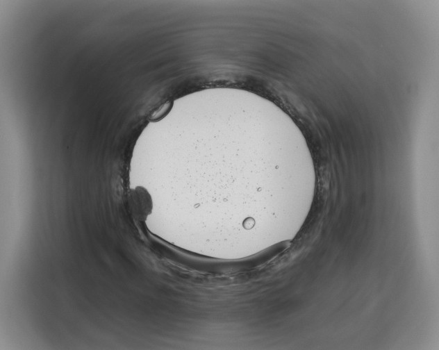X0000113910916200910221330