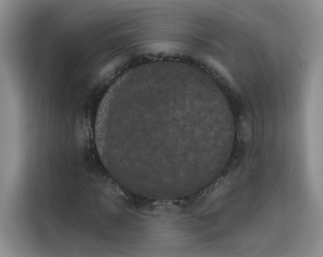 X0000113910918200910221330