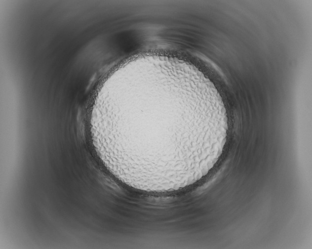 X0000113910921200910221330