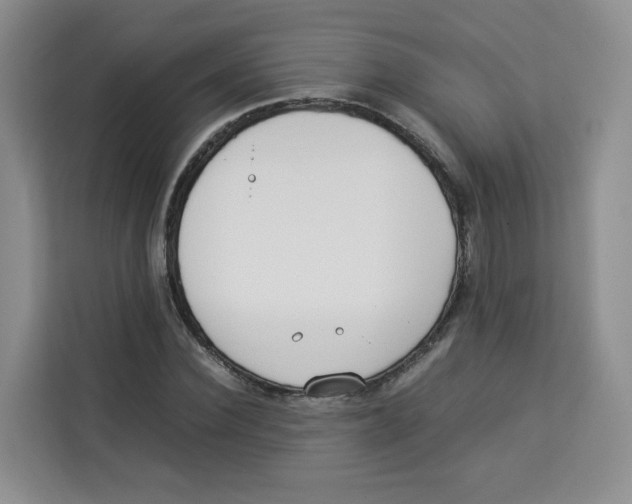 X0000113910924200910221330
