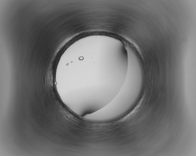 X0000113910925200910221330