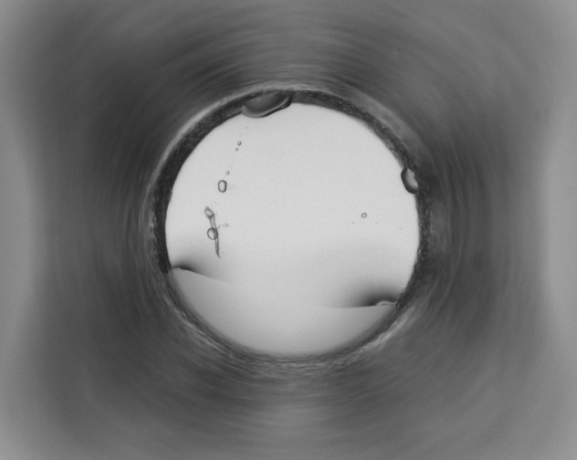 X0000113910926200910221330