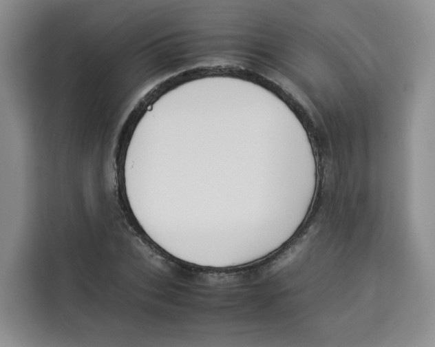 X0000113910927200910221330