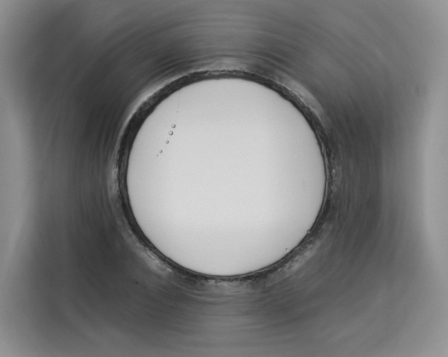 X0000113910928200910221330