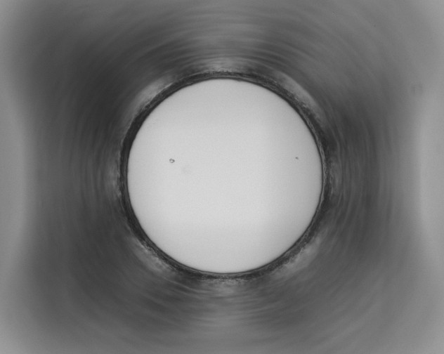 X0000113910930200910221330