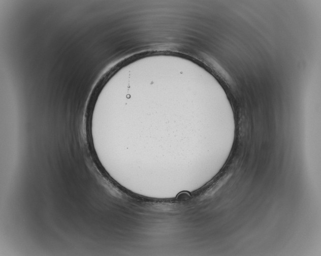 X0000113910932200910221330