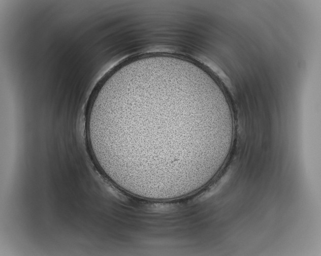 X0000113910933200910221330