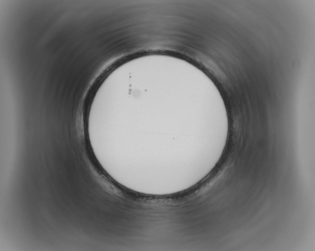 X0000113910934200910221330