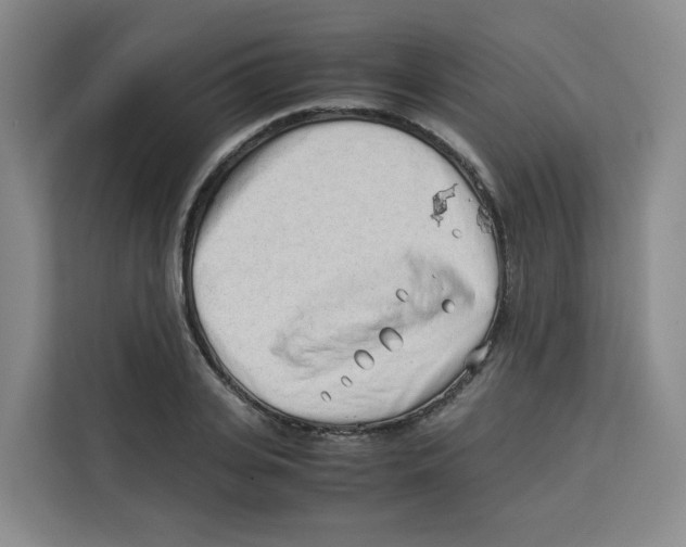X0000113910935200910221330