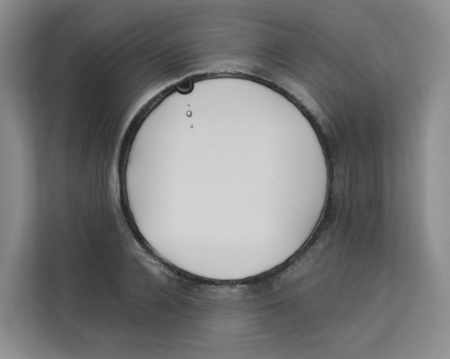 X0000113910936200910221330