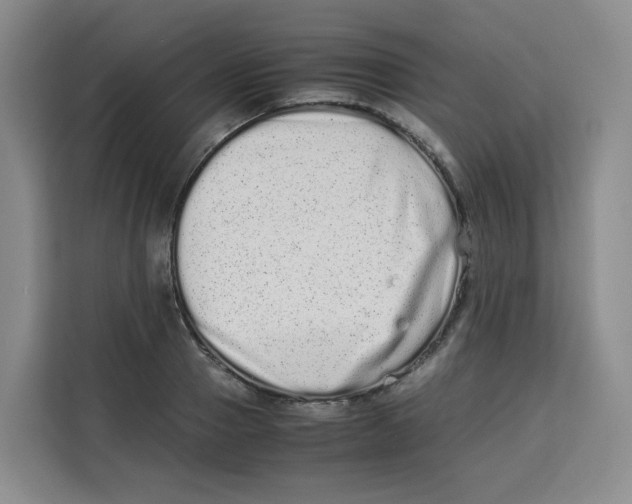 X0000113910937200910221331