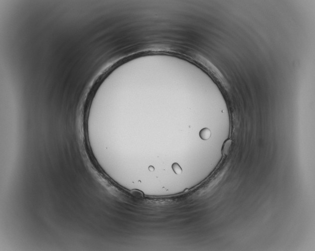 X0000113910939200910221331