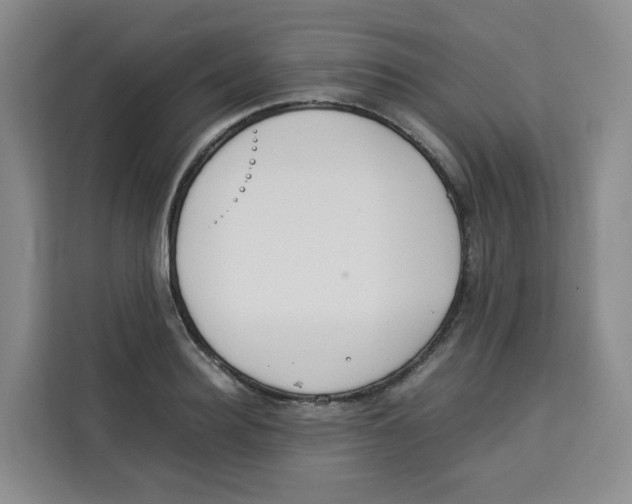 X0000113910940200910221331