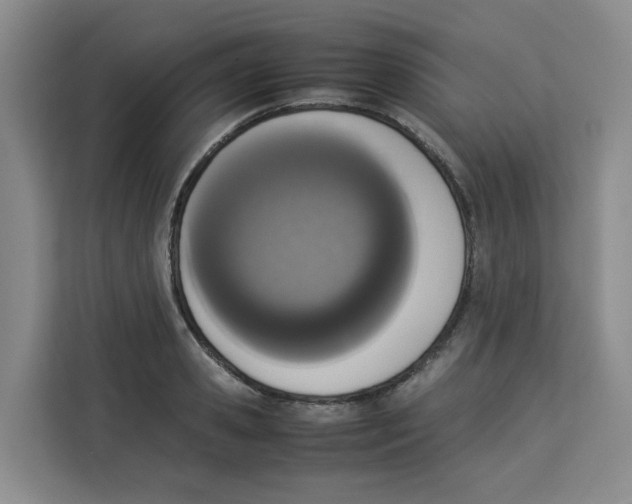 X0000113910941200910221331