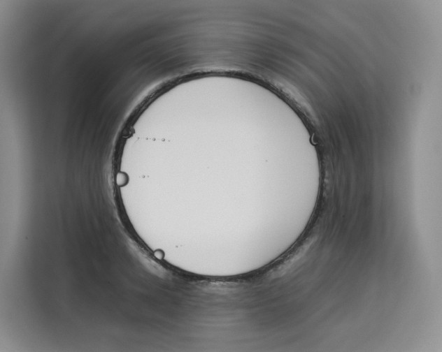 X0000113910942200910221331