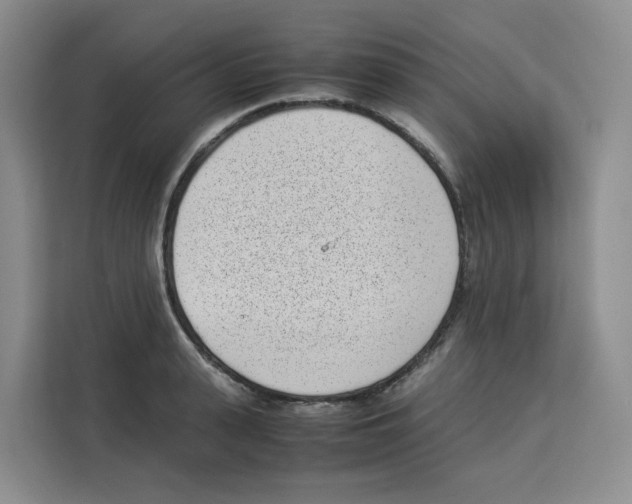 X0000113910943200910221331