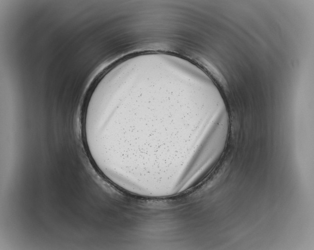 X0000113910944200910221331