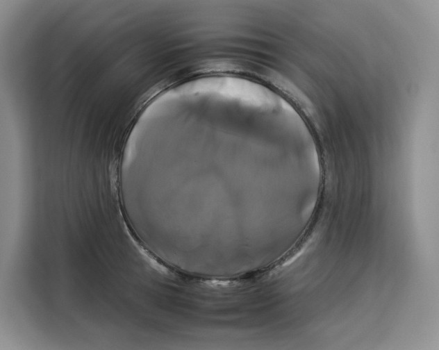 X0000113910945200910221331