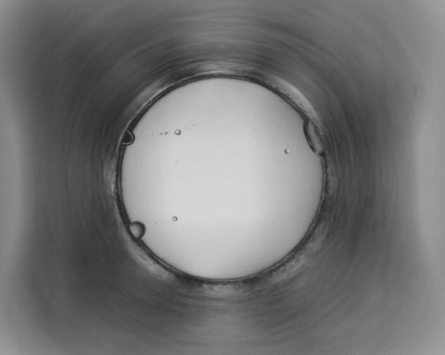 X0000113910946200910221331
