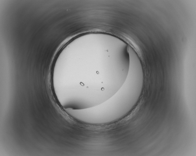 X0000113910948200910221331