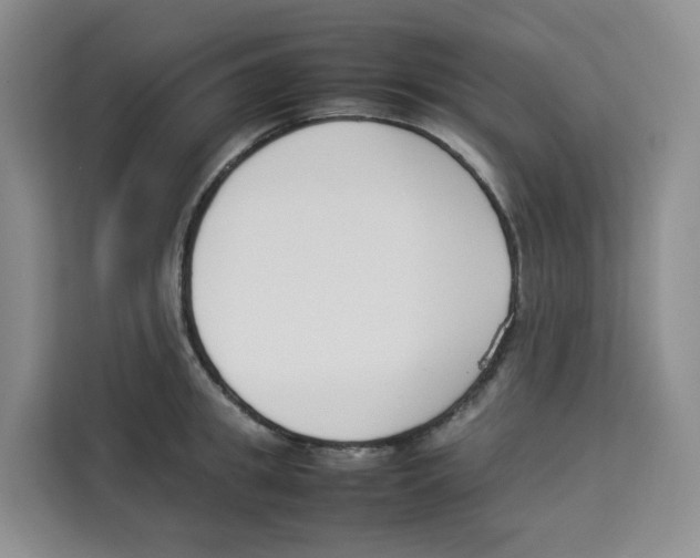 X0000113910949200910221331