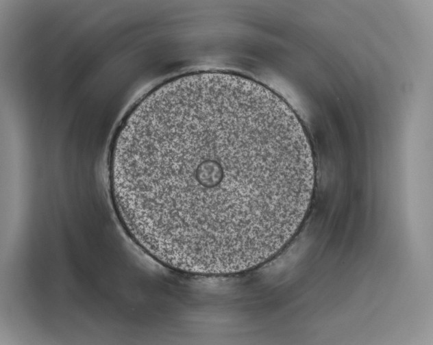 X0000113910950200910221331