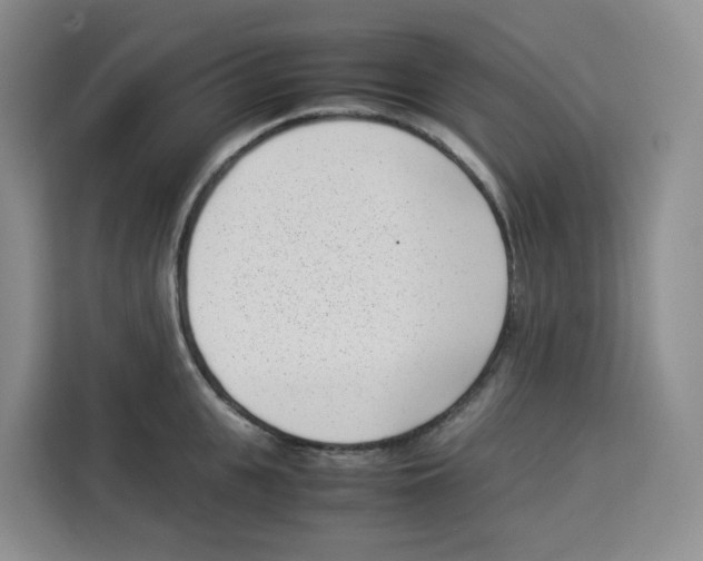 X0000113910951200910221331