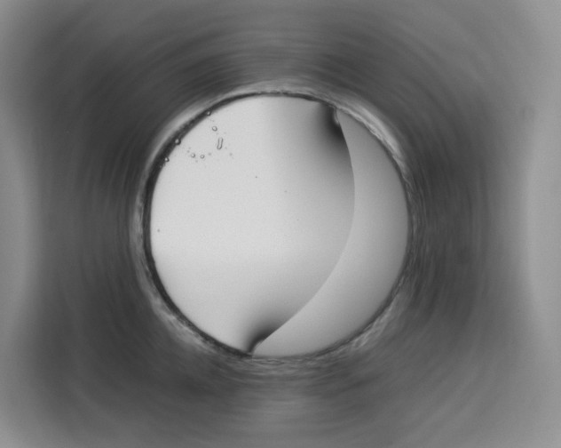 X0000113910952200910221331