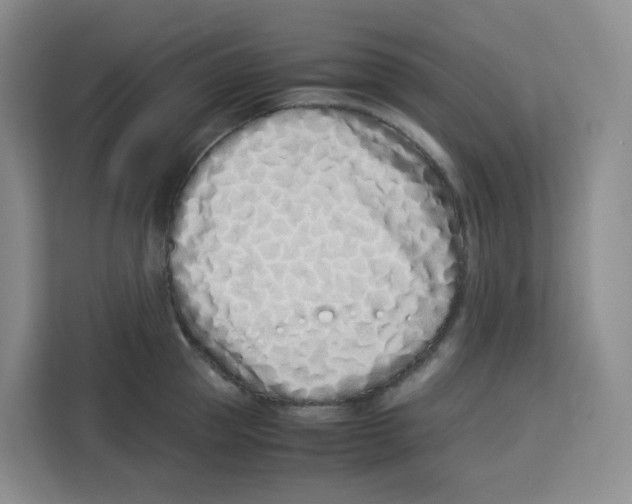 X0000113910953200910221331