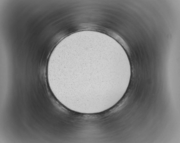 X0000113910954200910221331