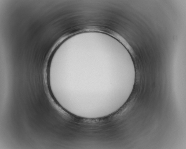 X0000113910955200910221331