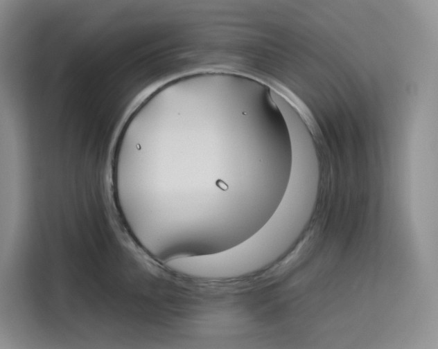 X0000113910956200910221331